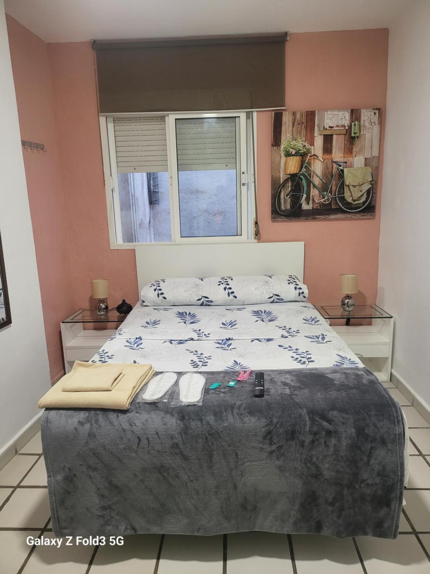Habitacion Muy Centrica. Granada Dış mekan fotoğraf