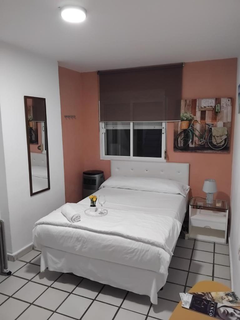 Habitacion Muy Centrica. Granada Dış mekan fotoğraf